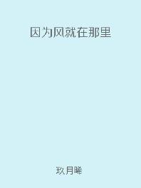 因为风就在那里出书版番外
