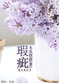 瑕疵皮