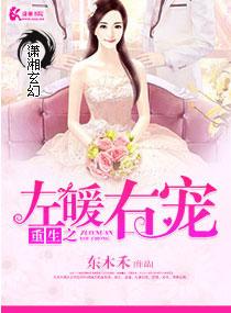 重生之左暖右爱文