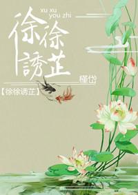 徐徐诱芷宝书网