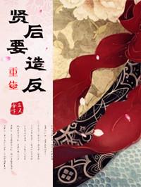 重生之贤后简介