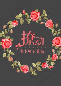 撩动我心2007在线完整版