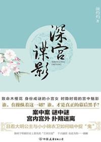 深宫谍影简介结局