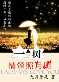 一树一叶总关情