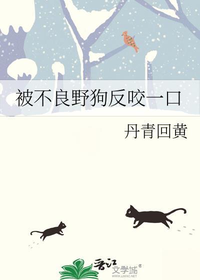 被野狗咬破皮了怎么办