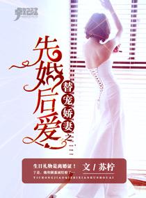 替嫁婚宠
