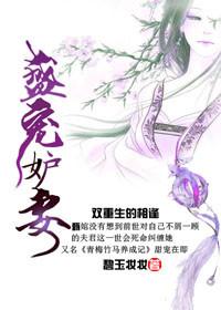 盛宠妻宝全文免费阅读无防盗