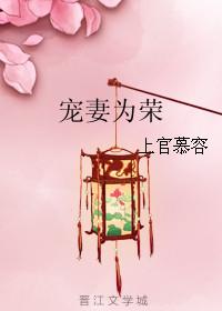 宠妻为荣上官慕容晋江