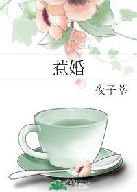 惹婚舒明烟慕俞沉全文免费阅读