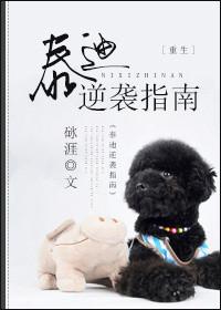 泰迪逆袭指南未删减版