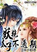 妖皇太子各个境界介绍