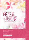 你不是我的菜视频