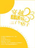 穿越古代嫁了个痞子 无删节