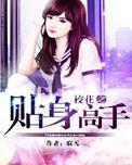 校花之贴身高手的境界