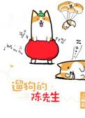 遛狗的陈先生免费全文阅读