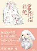 新手养兔子需要什么东西