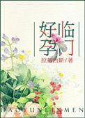 好孕临门长篇社会