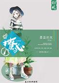 快穿之撩汉系统全文免费