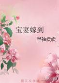 宝妻嫁到半袖妖妖txt