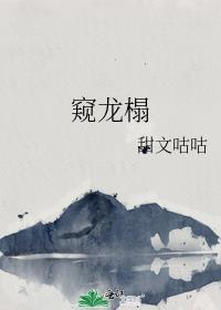 窥龙榻by拾音者