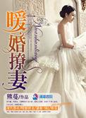 暖婚甜恋全本免费