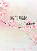 寒门崛起 txt