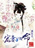 重生宠妻如命