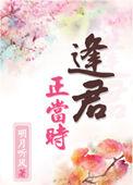 逢君正当时原版