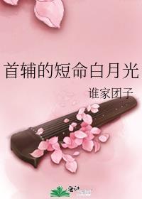 首辅的短命白月光男女主什么时候圆房