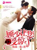 顾少请少点套免费