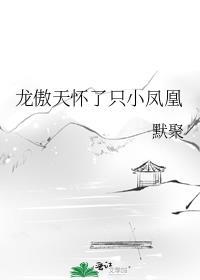 龙傲天怀了只小凤凰by默聚免费阅读