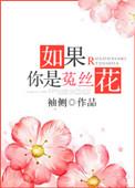 如果你是菟丝花全文阅读免费