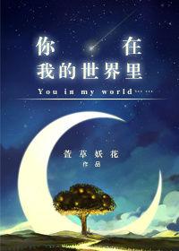 你在我的世界里照亮了夜空是什么歌