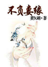 不负妻缘TXT百度资源