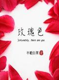 玫瑰金颜色