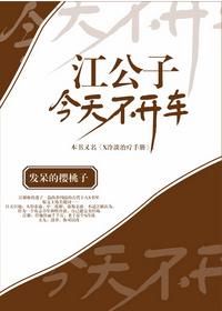 江公子今天不开车骑鲸南去txt