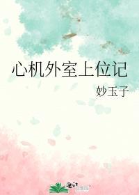 心机外室上位记作者妙玉子