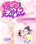无良宠妃