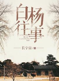 白杨往事长宇宙讲什么