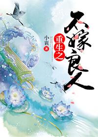 碎颜重生负良人完整版