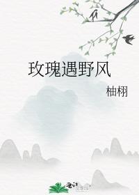 玫瑰遇野风 柚栩