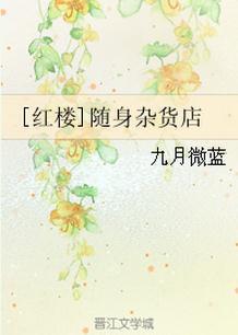 红楼随身杂货店txt