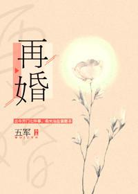 再婚耽美文