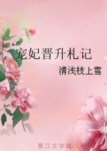 宠妃晋升攻略