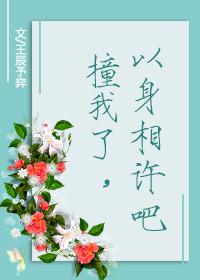 撞了我以身相许吧全文阅读
