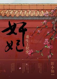妃子上位的