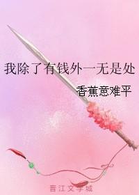 除了没钱以外什么都有什么意思