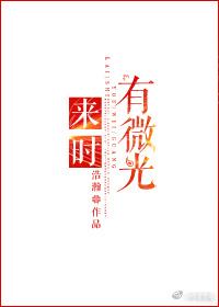 来时有微光42章