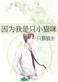 我是一只小猫咪