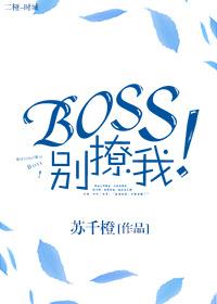 boss别闹原文